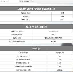 DigiSing_testi_4v2025